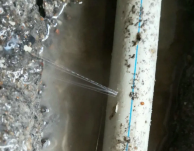 安阳市测漏水哪家好