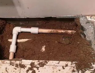 安阳市测漏水哪家好