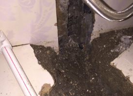 安阳市卫生间测漏水哪家好