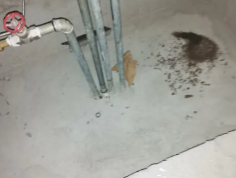 安阳市卫生间测漏水价格明细