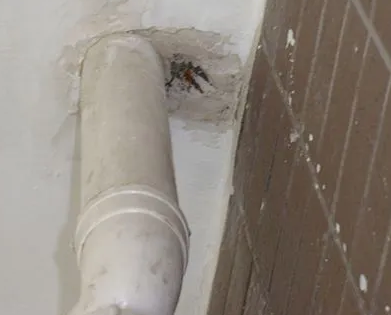 安阳市漏水检测哪家好